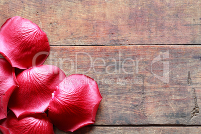 Rose Petals On Wood