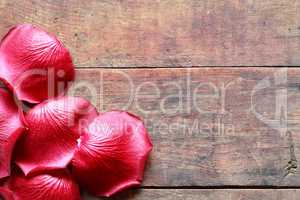 Rose Petals On Wood