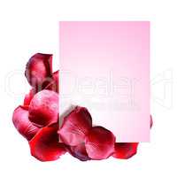 Rose Petals Greeting Card