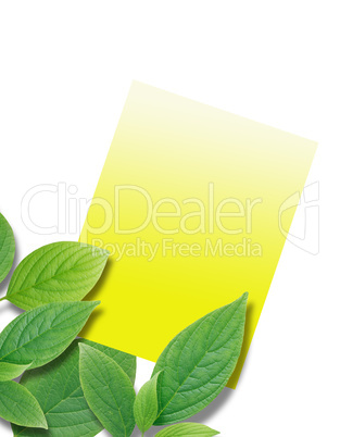 Congratulation Card With Leaves