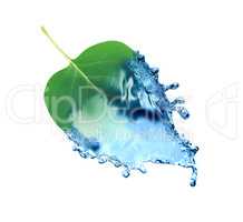 Leaf In Water Splash