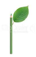 Green Pencil With Leaf
