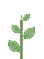 Green Pencil With Leaves