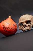 Pumpkin And Skull