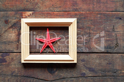 Starfish In Frame