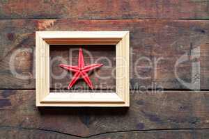 Starfish In Frame