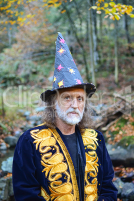 Old wizard with gray hair and beard