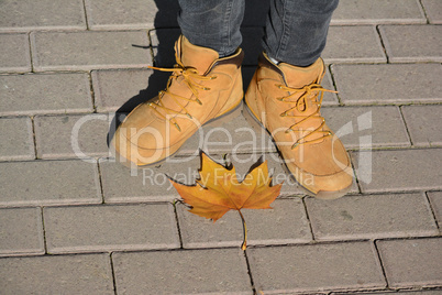 Autumn shoes and leaf