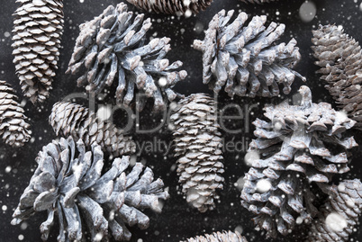 Fir Cone Texture As Christmas Decoration, Flat Lay And Snowflakes