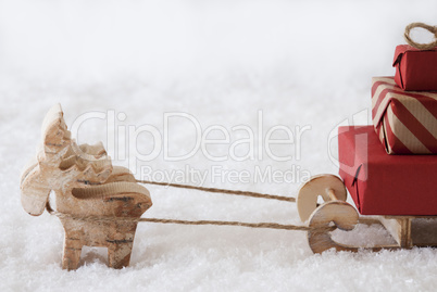 Reindeer With Sled, White Background, Copy Space For Advertisement