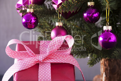 Gift With Tree, Copy Space