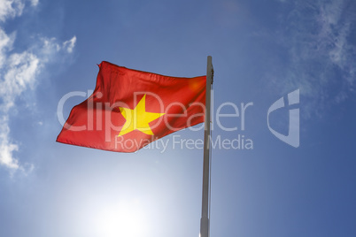 National flag of Vietnam on a flagpole