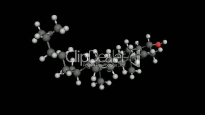 Cholesterol molecule  model rotaing