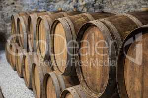 Wine cellar with oak barrels