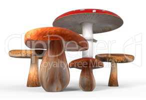 ceps, paxil, amanita muscaria mushrooms isolated on white 3d illustration