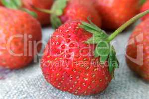Delicious ripe strawberries closeup..