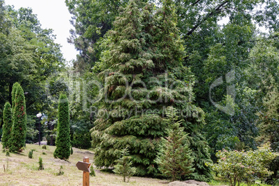 Arboretum of tropical and subtropical plants.