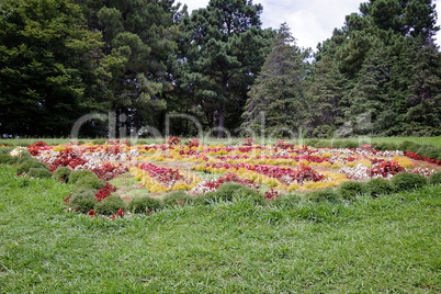 Meadow in the arboretum, decorated with beautiful flowers.