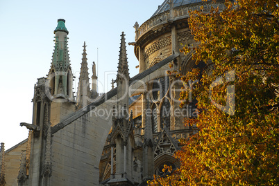 Notre-Dame Basilica, Paris, France, Frankreich