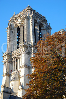 Notre-Dame Basilica, Paris, France, Frankreich