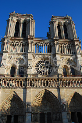 Notre-Dame Basilica, Paris, France, Frankreich