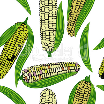 Corn seamless food vector background isolated cob plant.