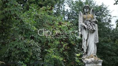 Beautiful statue of angel at the old cemetery