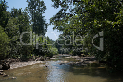 Mountain river flowing through the green forest