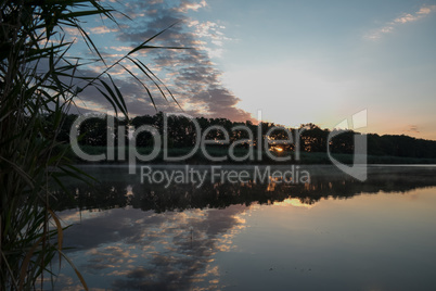 Warm sunset with the outline of trees on the horizon