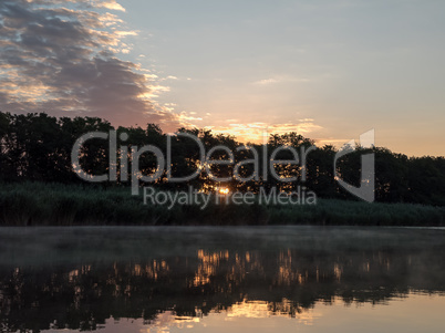 Warm sunset with the outline of trees on the horizon