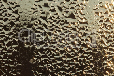 Water dew a drops on glass background