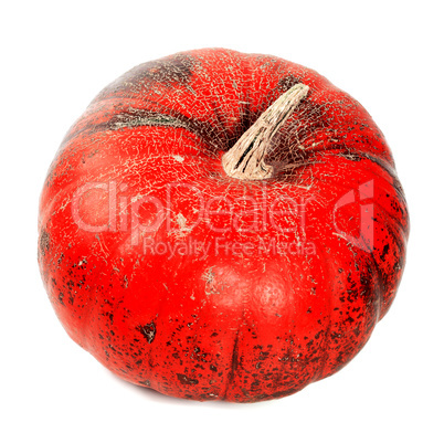 Red ripe autumn pumpkin