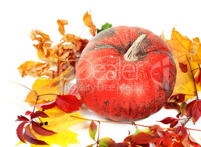 Red ripe pumpkin and autumn leaves on white