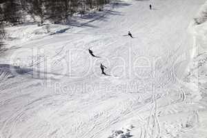 Skiers and snowboarders on ski slope at sun winter day