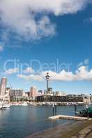 Auckland Hafen und Skytower
