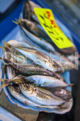 Fish for Sale in Market, Tokyo, Japan, Asia