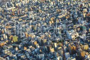 Aerial View of the Tokyo City, Japan