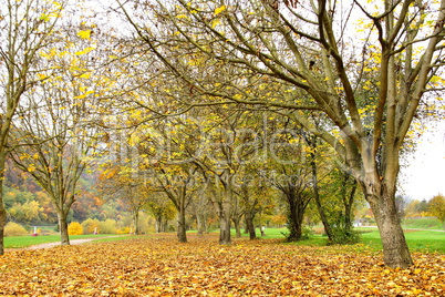 herbstlicher Park