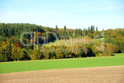 bunter Wald und herbstliche Felder