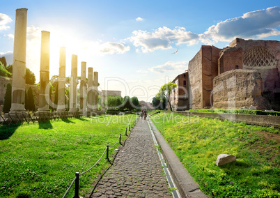 Road to Roman Forum