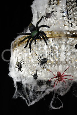 Spiders on the chandelier