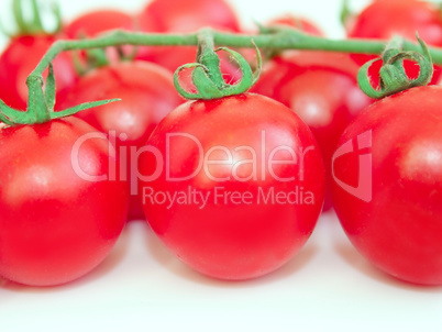 juicy red tomatoes