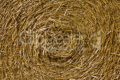 close up of a hay ball