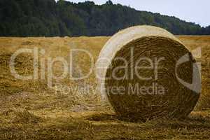 A round haystack against the blue sky on a field