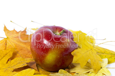 apple on a white background with yellow leaves