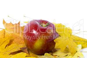 apple on a white background with yellow leaves