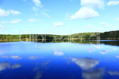 beautiful lake in the forest