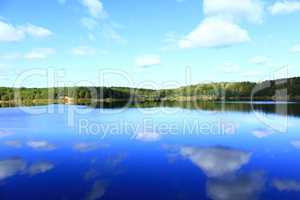 beautiful lake in the forest