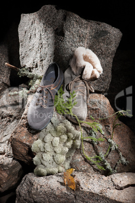 Still Life With Shoes