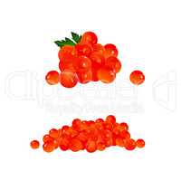 Red Caviar, Isolated Illustration